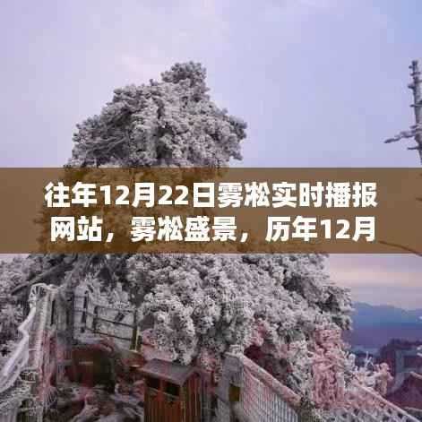 历年12月22日雾凇盛景实时播报与奇观回顾,自然之美尽在眼前