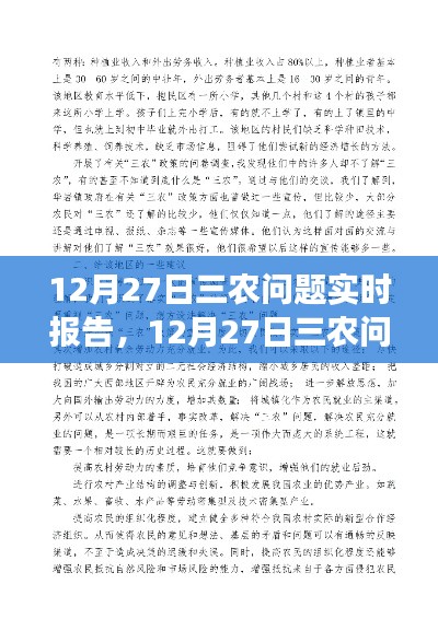 三农问题实时报告撰写指南,从入门到精通(含最新报告内容)