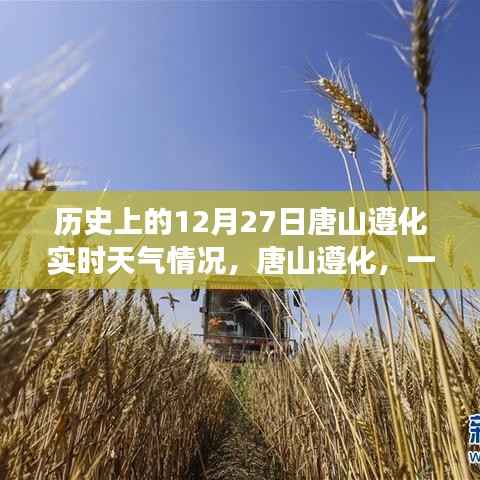 风雪中的唐山遵化,历史实时天气与深厚友情回顾