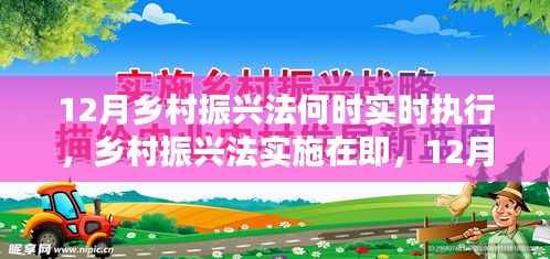 乡村振兴法即将实施,新起点期待于12月