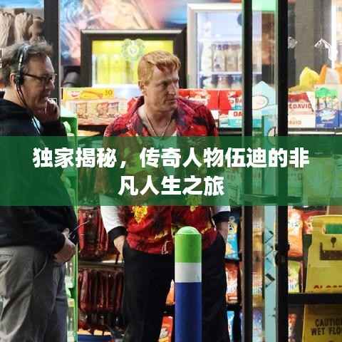 xingjirufei 第5页