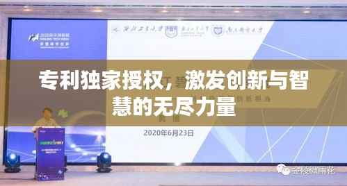 专利独家授权,激发创新与智慧的无尽力量