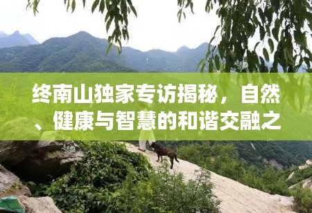 终南山独家专访揭秘,自然、健康与智慧的和谐交融之道