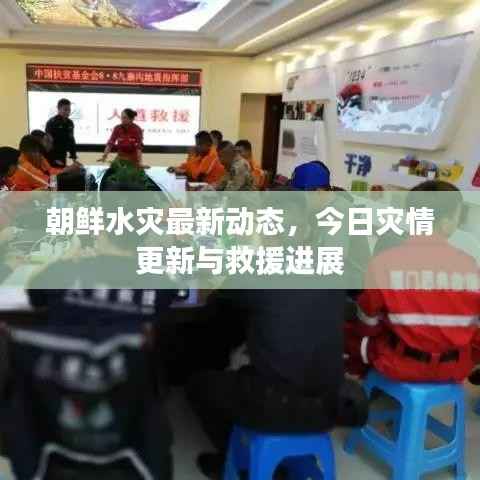 朝鲜水灾最新动态,今日灾情更新与救援进展
