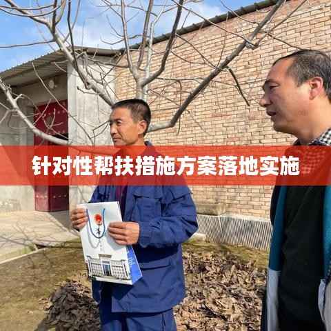 针对性帮扶措施方案落地实施