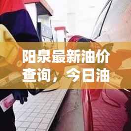 阳泉最新油价查询,今日油价动态与影响因素解析