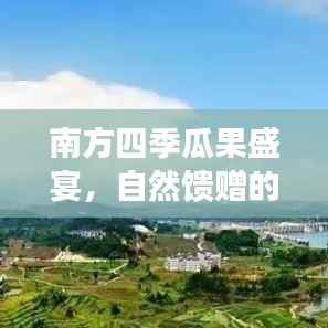 南方四季瓜果盛宴，自然馈赠的丰富多样美味