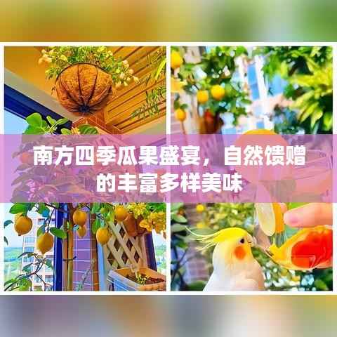 南方四季瓜果盛宴,自然馈赠的丰富多样美味