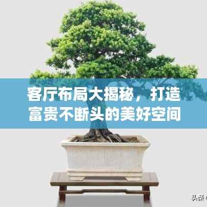 客厅布局大揭秘,打造富贵不断头的美好空间