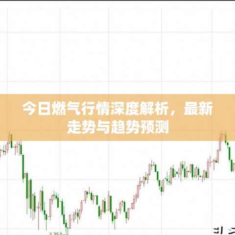 今日燃气行情深度解析，最新走势与趋势预测