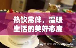 初遇在故事开头 第4页
