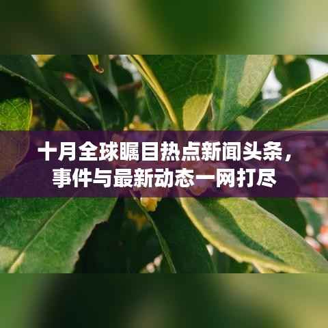 十月全球瞩目热点新闻头条,事件与最新动态一网打尽
