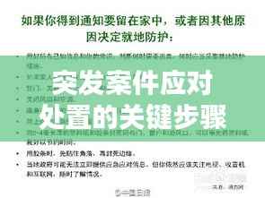 突发案件应对处置的关键步骤,挑战面前的应对策略