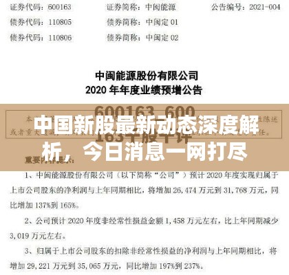 中国新股最新动态深度解析,今日消息一网打尽