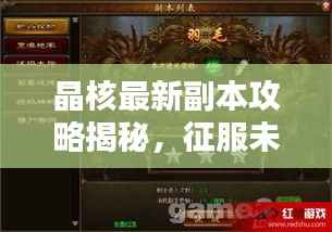 晶核最新副本攻略揭秘,征服未知领域的秘诀!