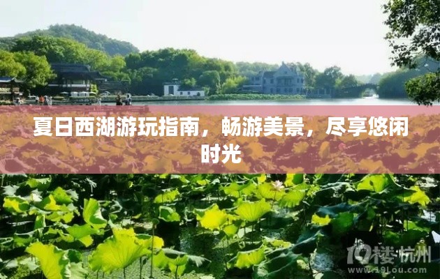 夏日西湖游玩指南,畅游美景,尽享悠闲时光