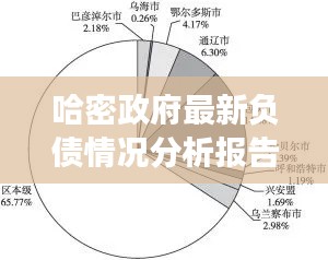 哈密政府最新负债情况分析报告解读