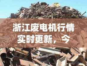 浙江废电机行情实时更新,今日市场动态一览
