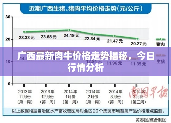 广西最新肉牛价格走势揭秘,今日行情分析