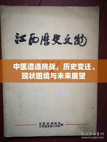 中医遭遇挑战,历史变迁、现状困境与未来展望