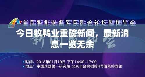 今日牧鸭业重磅新闻,最新消息一览无余
