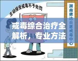 戒毒综合治疗全解析,专业方法与康复之路