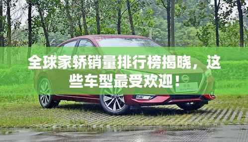 jujianyonggui 第6页