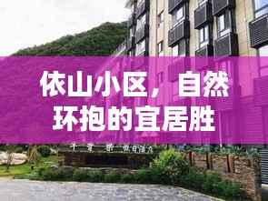 yishisanniao 第6页