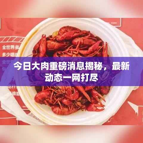 今日大肉重磅消息揭秘,最新动态一网打尽