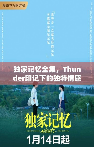 独家记忆全集,Thunder印记下的独特情感记忆