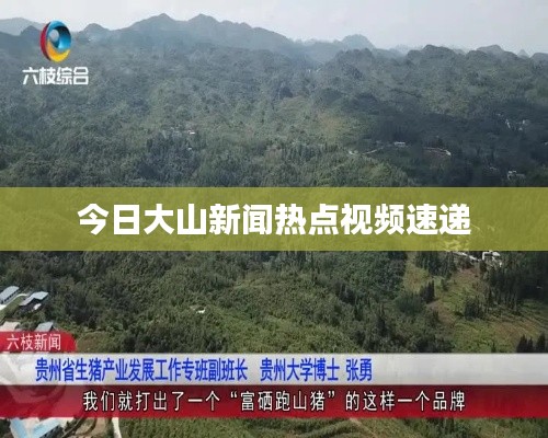 今日大山新闻热点视频速递
