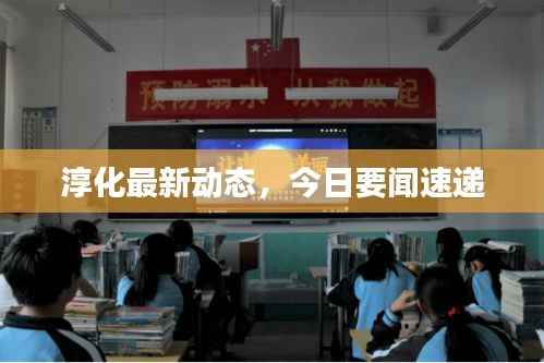 淳化最新动态，今日要闻速递