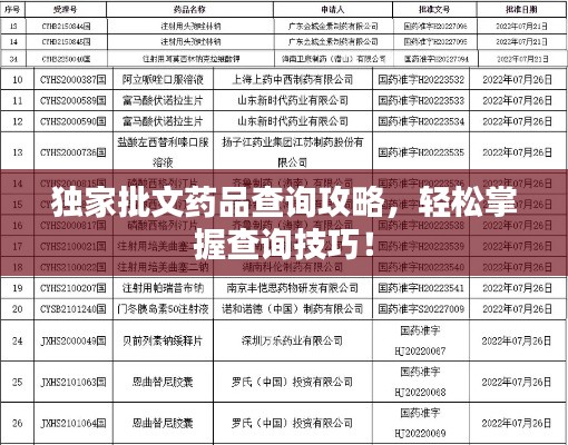独家批文药品查询攻略,轻松掌握查询技巧!