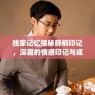 独家记忆揭秘薛桐印记,深藏的情感印记与成长印记