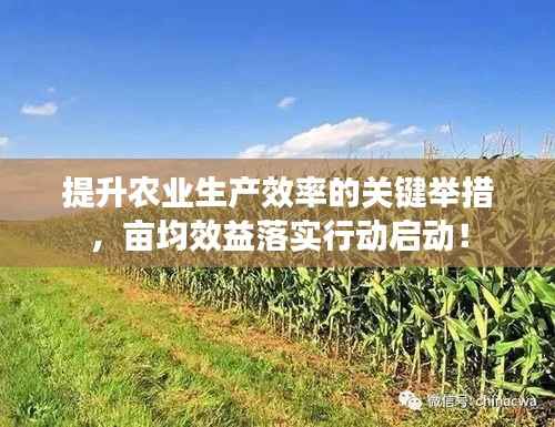 提升农业生产效率的关键举措,亩均效益落实行动启动!