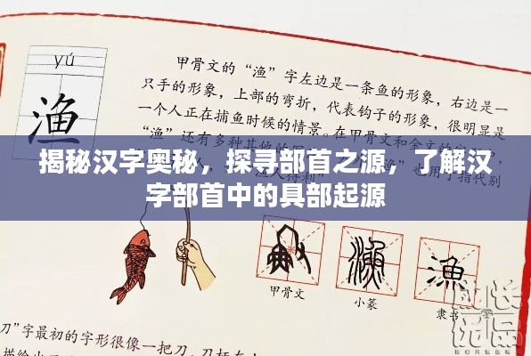 揭秘汉字奥秘,探寻部首之源,了解汉字部首中的具部起源