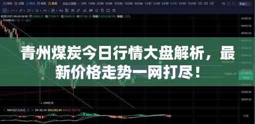 青州煤炭今日行情大盘解析,最新价格走势一网打尽!