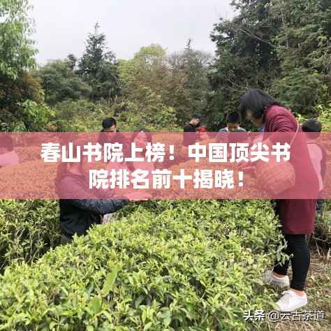 春山书院上榜!中国顶尖书院排名前十揭晓!