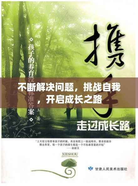 不断解决问题,挑战自我,开启成长之路