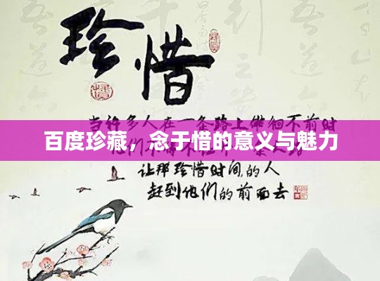 百度珍藏,念于惜的意义与魅力