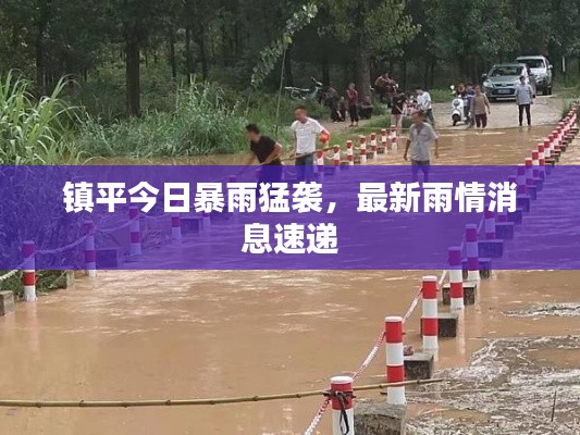 镇平今日暴雨猛袭,最新雨情消息速递