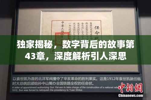 独家揭秘,数字背后的故事第43章,深度解析引人深思